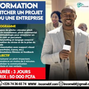 Pitcher Un Projet Ou Une Entreprise